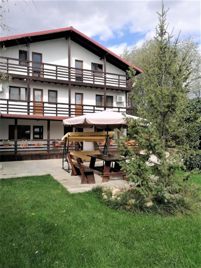 Hotel Casa Carp Calarasi Exterior foto